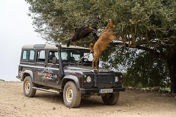 Land Rover Safari Minoan Route with driver and lunch