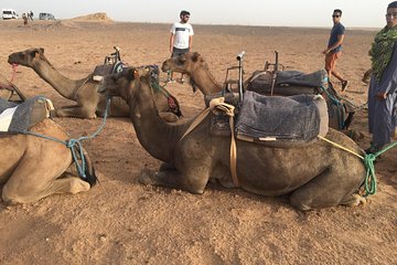 Marrakech to Zagora 2 Days Desert Tour