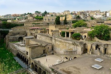 Shore excursion to the excavations of Herculaneum (2 hours)