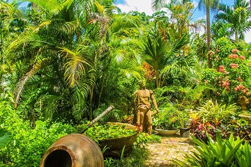 Barbados Botanical Tour