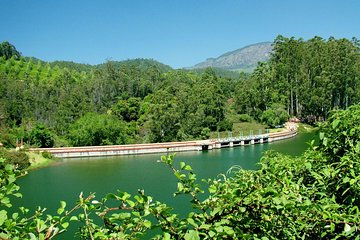 Munnar Site-seeing Tour