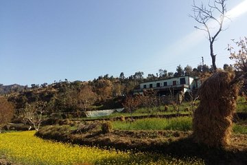 Ginger Valley Village Trek