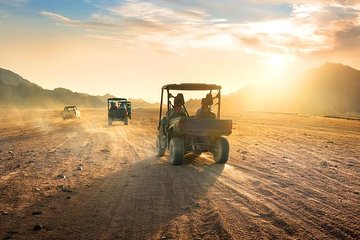 Hurghada Super Safari ATV, Drive Buggy, Camel Ride, Dinner & Show