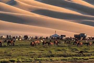 14-Day Private Tour from Gobi Desert to Steppe with Meals