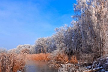 Half-Day Photo Tour in Zalissya National Nature Park