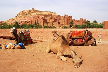 Desert trip in Morocco three days merzouga