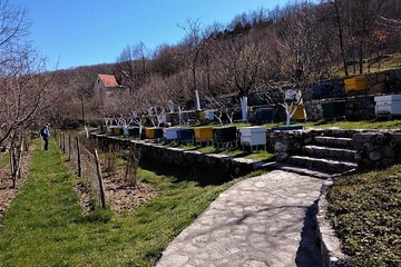 Gastronomy and Sightseeing in Montenegro - Lake Skadar & Cetinje Private Tour