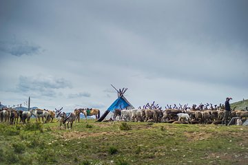 19 Days Horse trekking among the reindeer herders