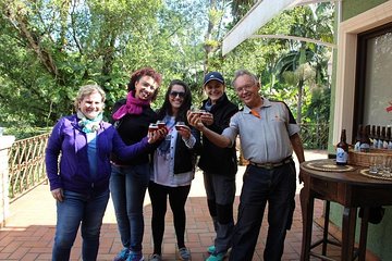 Wine, Craft Beer and Cachaça: Serra do Mar Tour from Curitiba