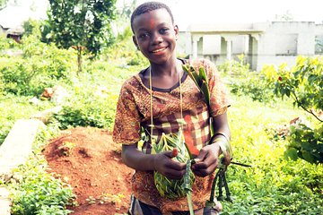 Zanzibar Spices Farms Tour (Private)