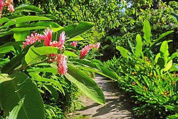 St. Lucia Botanical Gardens and Waterfall Tour Groups only