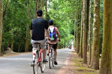 Full-Day Angkor and Temples Cycling Tour