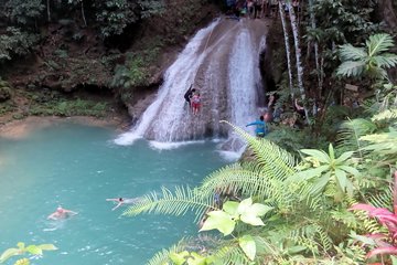 Island Gully Falls And Columbus Park Day Adventure