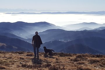 Black Forest Tour by car - from Freiburg to Baden-Baden