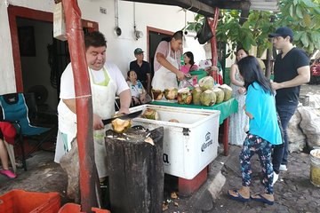 1 to 10 Passengers Vallarta Private City Tour
