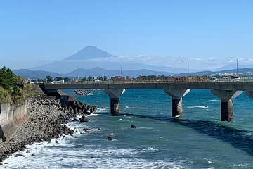 Guided Hybrid Bike Tour in Shizuoka City