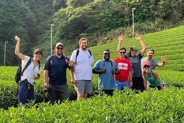 Guided Bike Tour to a Green Tea Farm in Shizuoka