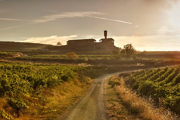 Rioja Wine Tour: Winery & Traditional Lunch From Vitoria