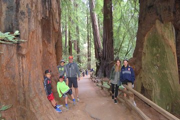 Best San Francisco, Muir Woods & Sausalito Private Combo Tour