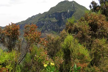1 Day Hike to Mount Longonot