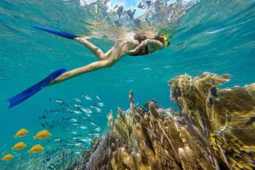 Puerto Morelos Reef Snorkeling Tour with Lunch & Hotel Pickup