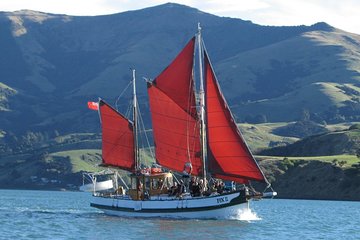 Sailing and Wildlife Tour Akaroa Fox II Sailing