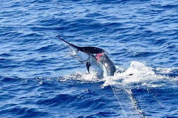 Half Day Afternoon Angler Charter