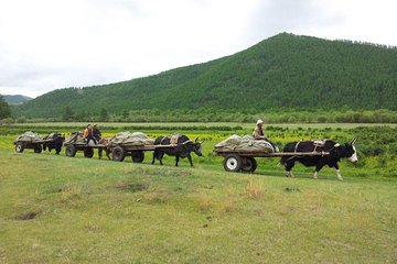 12 Days EXPLORE THE BEAUTY OF NORTHERN MONGOLIA WITH DANSHIG RELIGIOUS