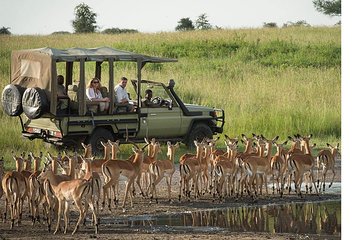 9 Days / 8 Nights Safari to Selous / Ruaha / Mikumi