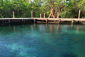 Tour Holbox - Two Island and One Cenote from Riviera Maya