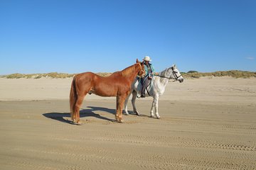 Horseback Ride on the Beach & Alcatraz Tour in San Francisco 