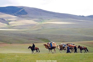 2 Days Przewalski's horses (takhi) and Genuine Nomadic Heritage