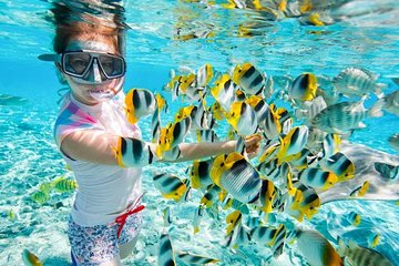 Red Sea Hurghada and Snorkeling Tour