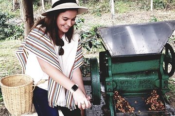 Coffee Farm Experience - Medellin