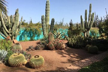 Ourika & Anima Art Garden & Safran Garden Tour