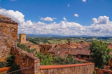 Private 8 hours Tour to Siena and San Gimignano from Florence