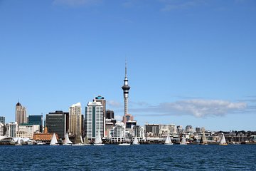 Private Auckland City Tour For Small Group in a luxury vehicle.