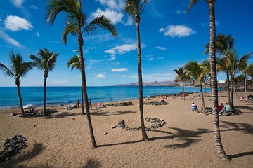 Shuttle Service From Liberia Airport to Playa Grande Costa Rica