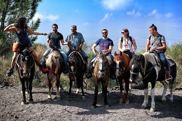 Mount Vesuvius Guided Horse Riding Tour with Sample Wine