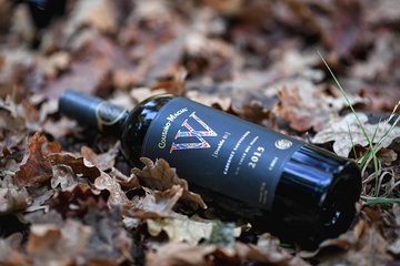 "Premium Wine Tour" Viña Cousiño Macul Official english
