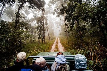 Kathmandu and Chitwan City Tour