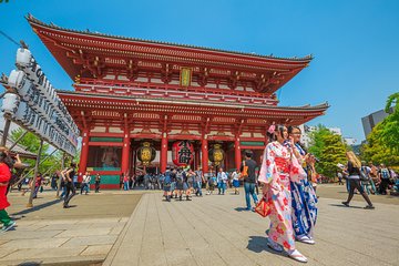 Tokyo Private Tour by Vehicle with English-Speaking Chauffeur