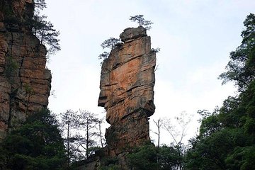 3 Days Zhangjiajie Highlights Tour with Glass Bridge (Hand-picked Featured Inn)