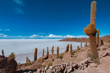 Uyuni Salt Flat Tour 2 days 1 night / Tunupa Volcano / Group Service