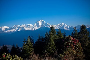2 Days Australian Camp Trek from Pokhara