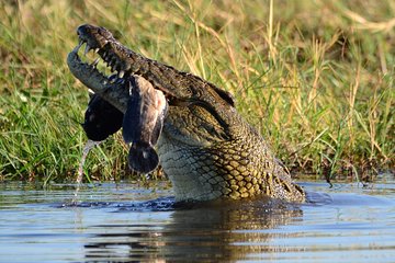 15 Days Discover Namibia and Botswana - Self Drive Lodge