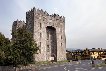 Dublin to Limerick, Cliffs of Moher, Galway by Train and Coach