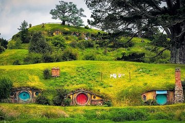 Hobbiton Movie Set Luxury Private Tour from Auckland