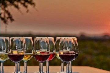 4.5 Hours Through the Grapevine Private Wine Tour