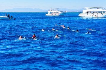 Snorkeling Trip At Paradise Island